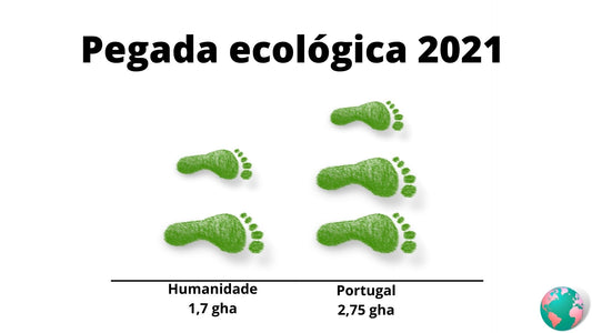 O que fazer para reduzir a pegada ecológica de Portugal?