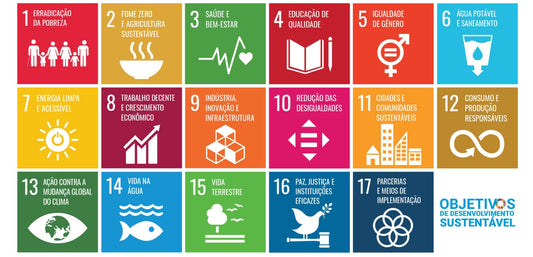 Qual o índice de desenvolvimento sustentável (IDS) de Portugal?